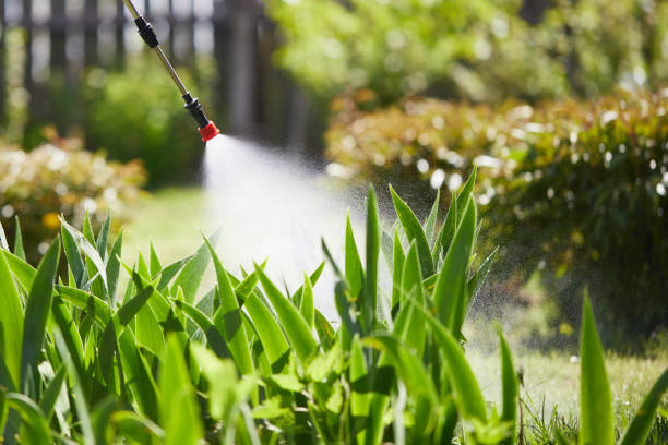 24/7 Emergency Mosquito Control experts in Shippensburg, PA