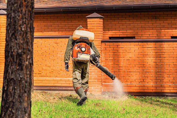 Trusted Cockroach Control service in Shippensburg, PA - Nex Pest Control